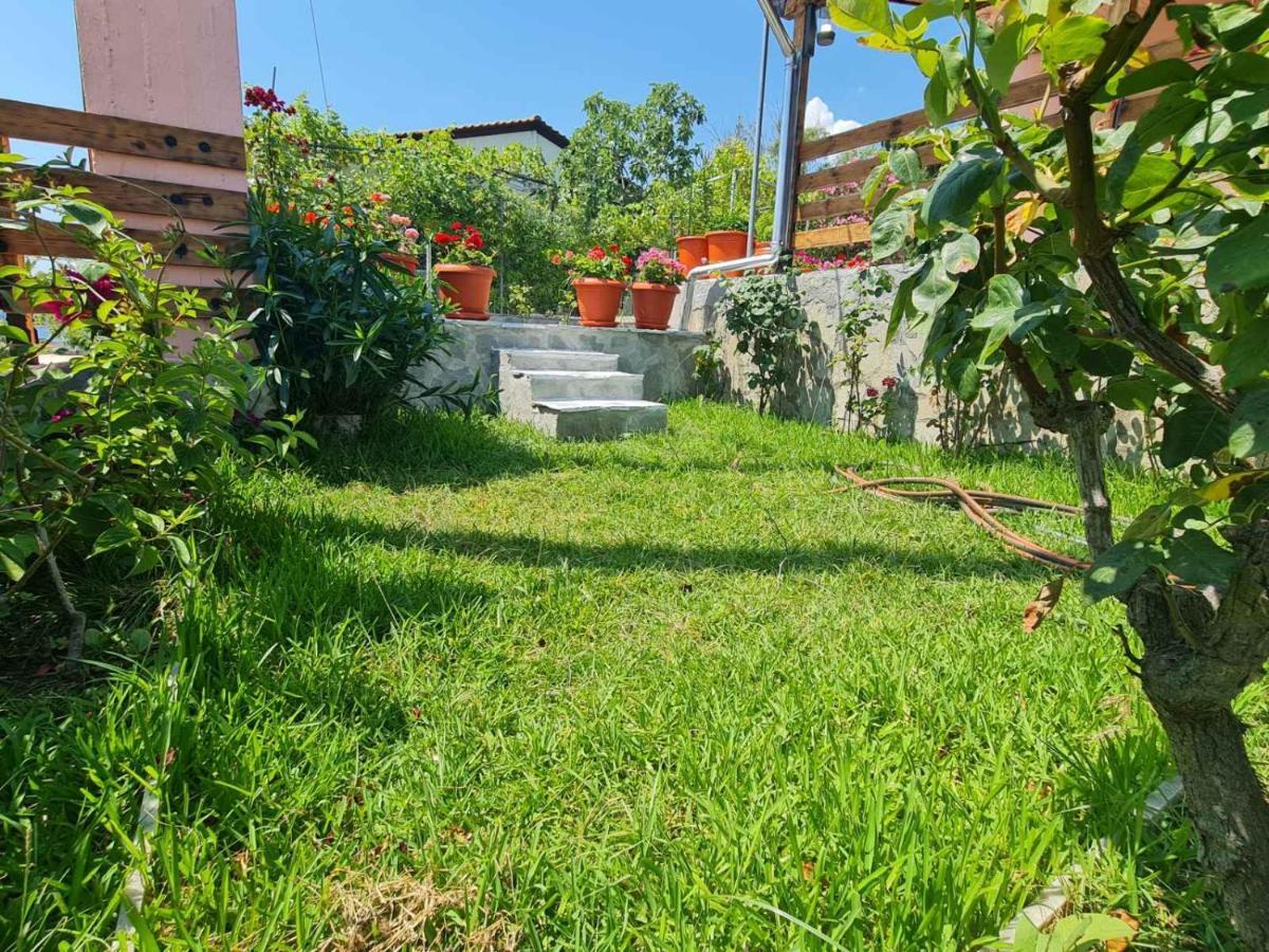 Stella'S Garden Villa Paleo Tsifliki Exterior photo