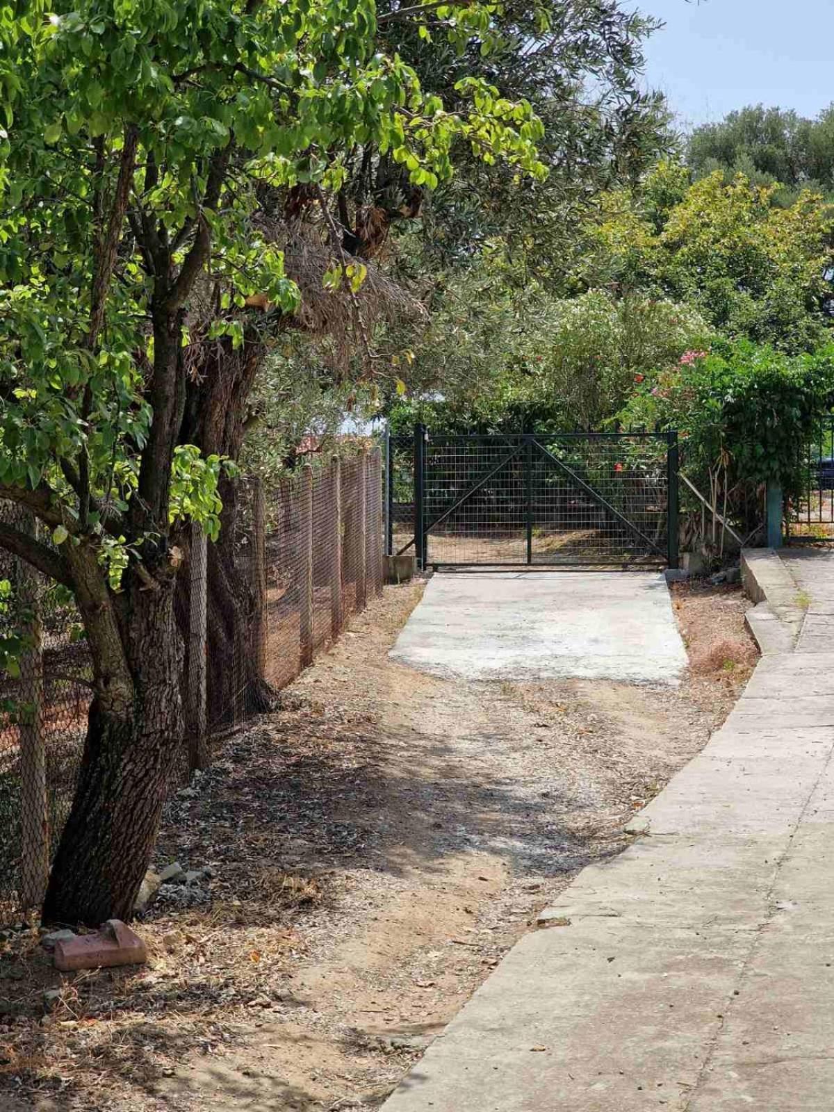 Stella'S Garden Villa Paleo Tsifliki Exterior photo